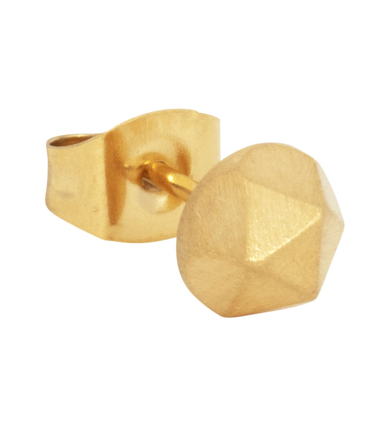 Stålörhänge Dekagon gold
