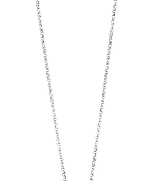 Stålhalsband bricka