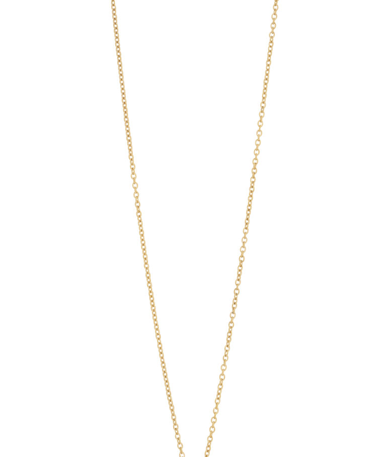 Stålhalsband Stav gold