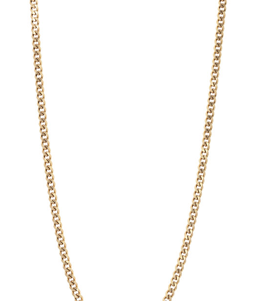 Stålhalsband Pansar gold 50cm