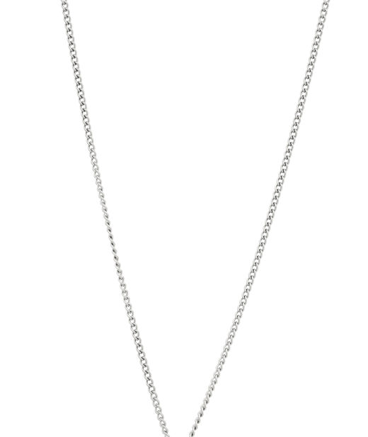 Stålhalsband Harvey