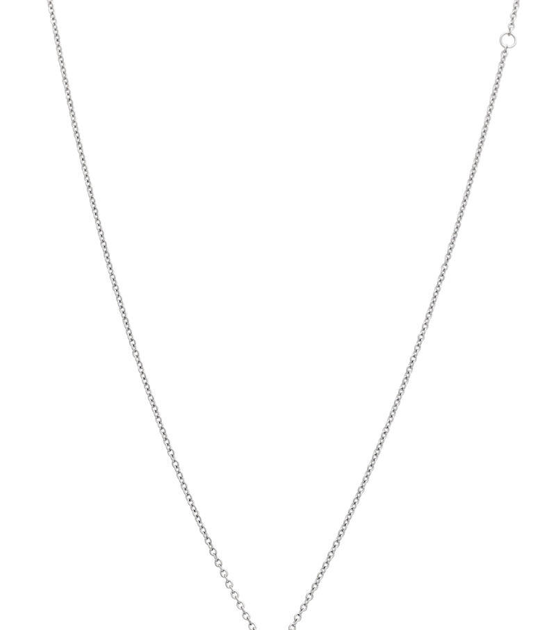 Stålhalsband Hanley