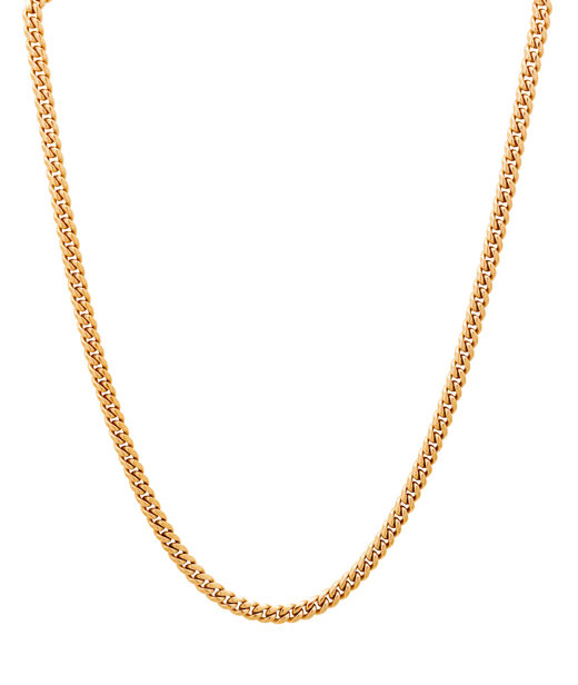 Stålhalsband Pansar Gold