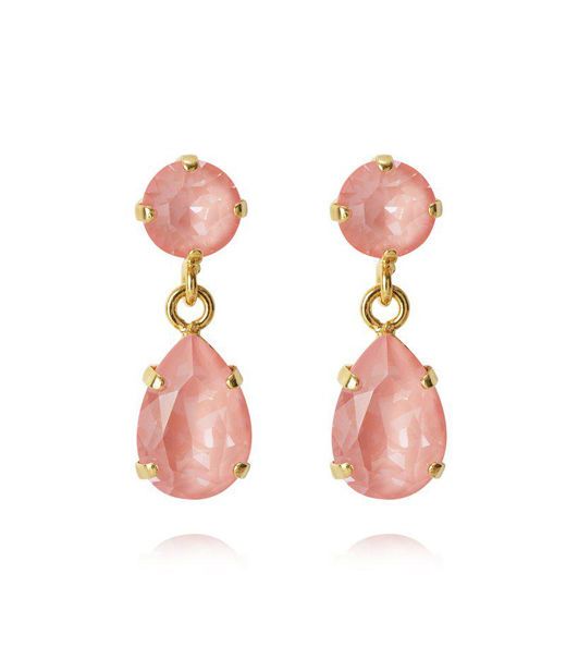 Mässingörhänge Mini Drop Flamingo Ignite Gold