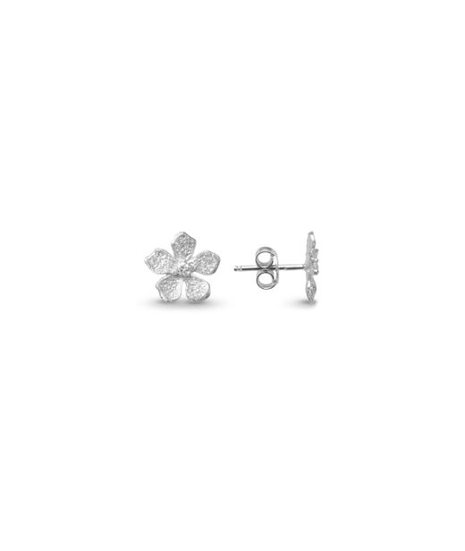 Silverörhängen Flower rod