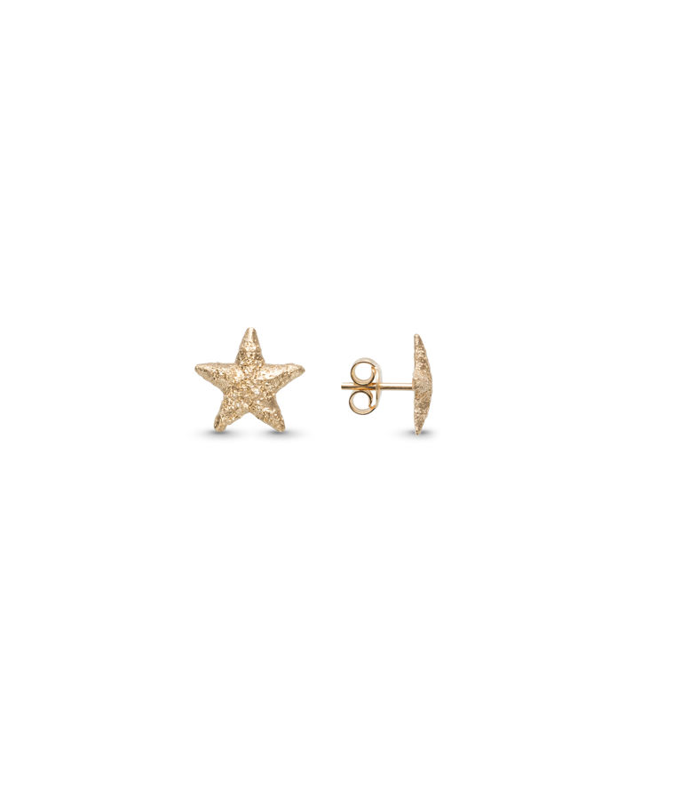 Silverörhänge Star fg