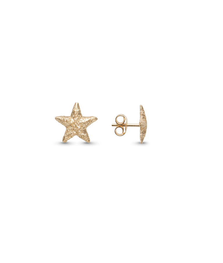 Silverörhänge Star fg