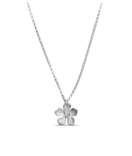 Silverhalsband Flower rhod