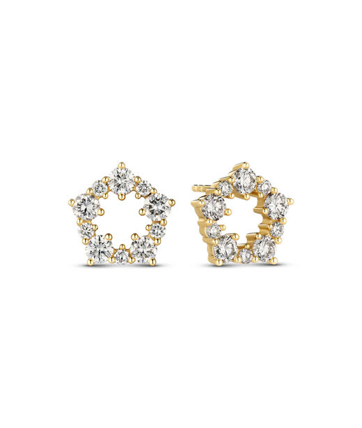 14k gg örhänge Brina 1,01ct LAB