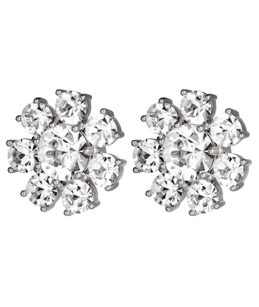 Mässingörhänge Aubra Crystal