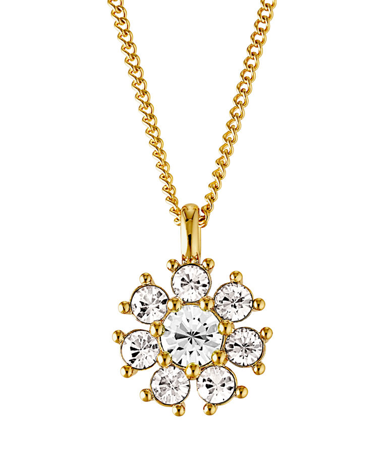 Stålhalsband Delise Crystal Gold