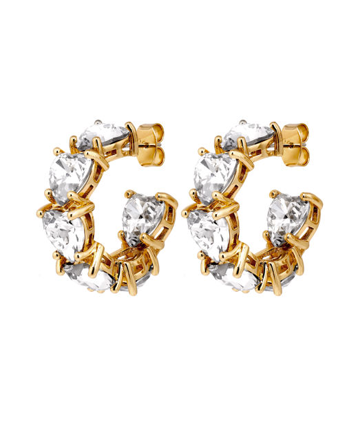 Mässingsörhänge HARDY SG CRYSTAL