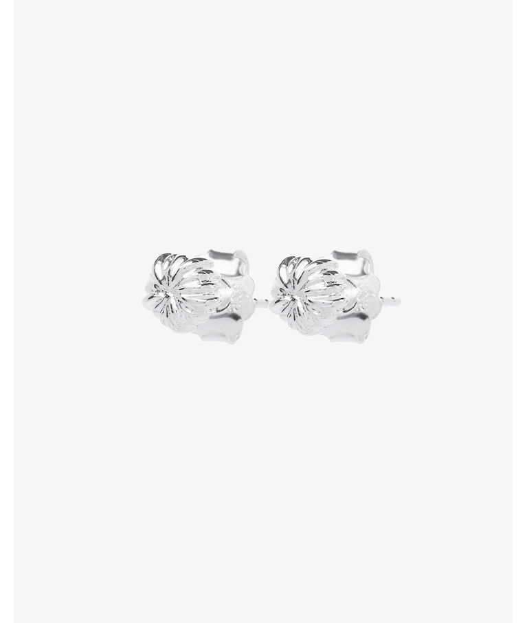 Silverörhänge New Bud Studs