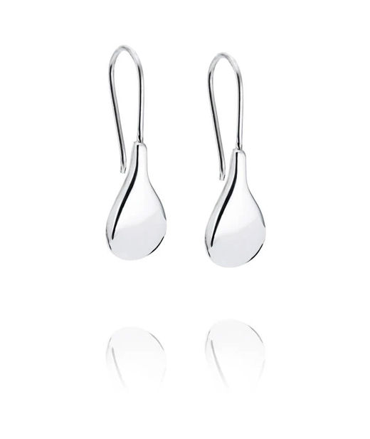 Silverörhänge Tears for Ears