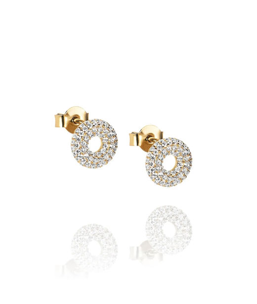18k rg örhängen Lifesaver & Star ear
