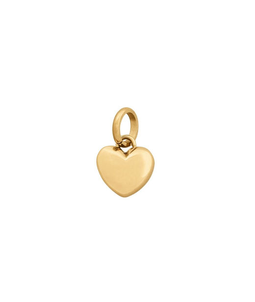 Stålhänge Barley Charmentity Small gold S21