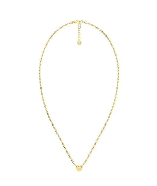 Stålhalsband Barley S S21