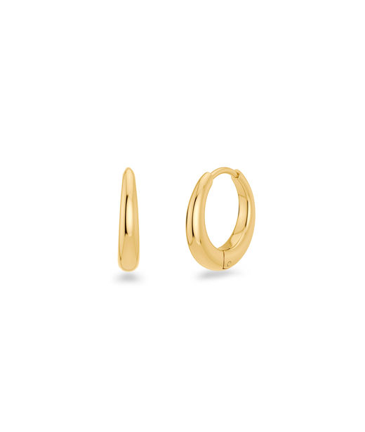 Stålörhänge Charmentity Hoops gold