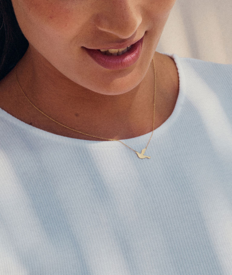 Stålhalsband Dove gold CC