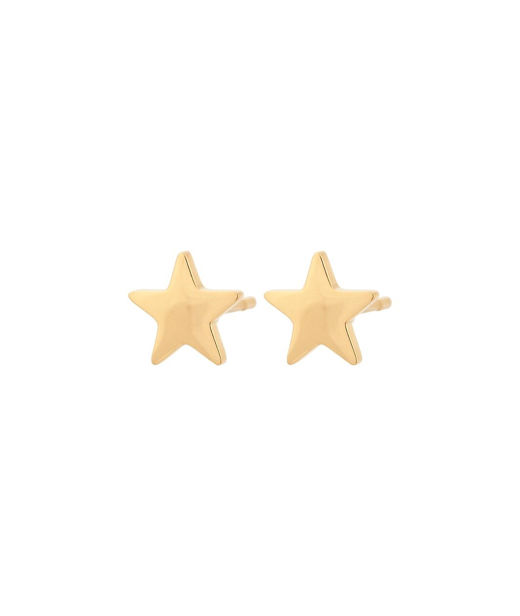 Stålörhänge Sirius Studs gold AU22