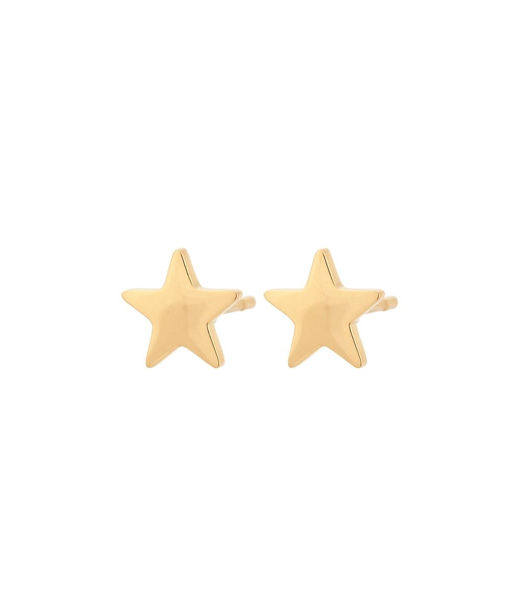 Stålörhänge Sirius Studs gold AU22