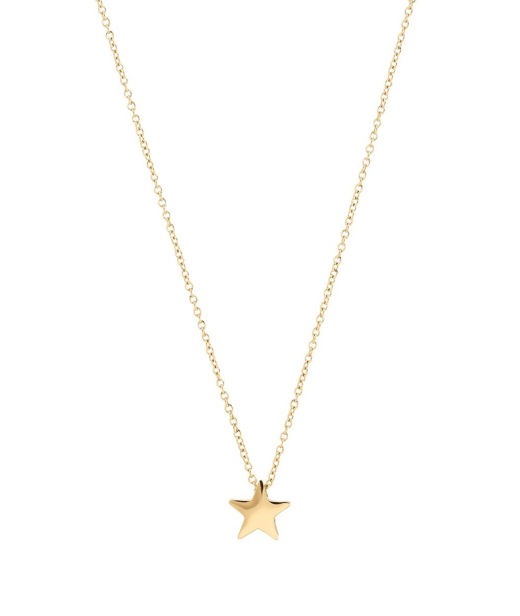 Stålhalsband Sirius gold AU22