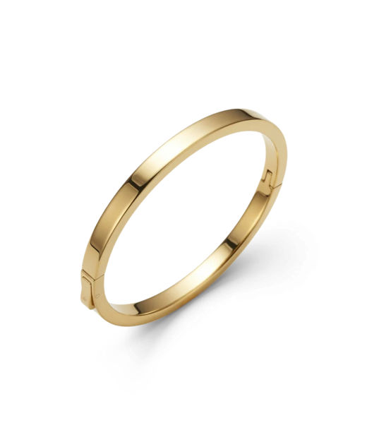 Stålarmband Fave Bangle Gold AU23