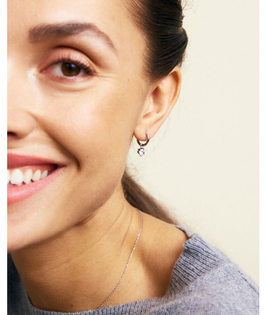 Stålörhänge Crown Hoops
