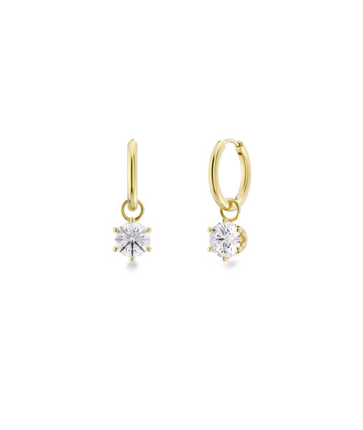 Stålörhänge Crown Hoops gold
