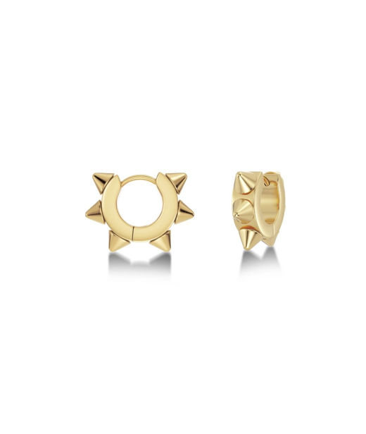Stålörhänge Peak Hoops Icon S gold