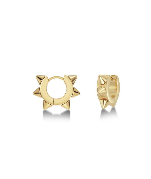 Stålörhänge Peak Hoops Icon S gold