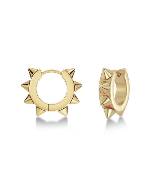 Stålörhänge Peak Hoops Icon M gold