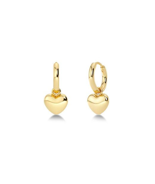 Stålörhänge Barley Hoops gold