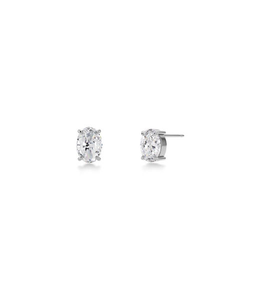 Stålörhängen Misty Studs