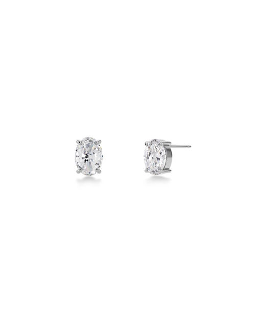Stålörhängen Misty Studs