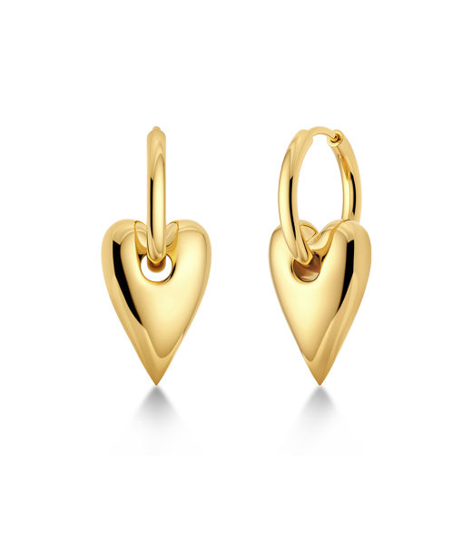 Stålörhänge Amore Hoops L Gold