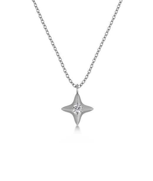 Stålhalsband Stellar