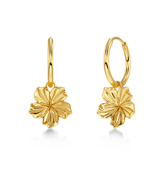 Stålörhängen Jasmine Hoops Gold