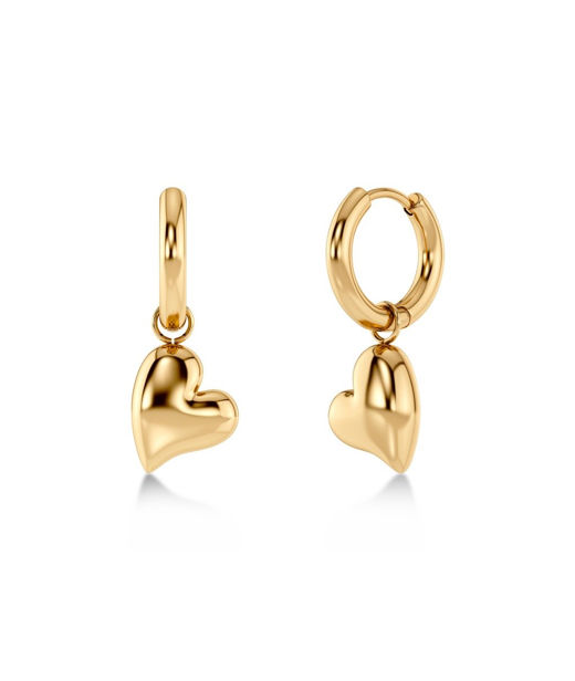 Stålörhänge Amorina Hoops Gold