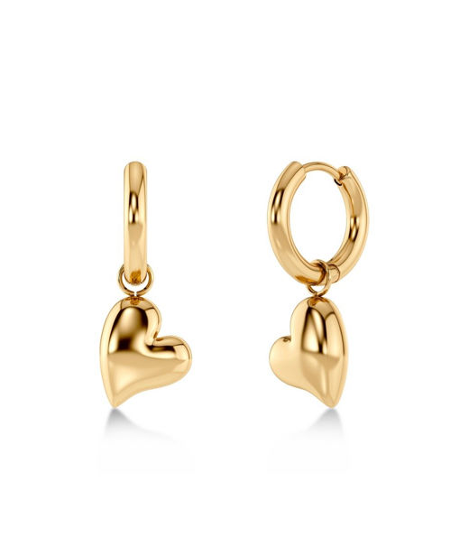 Stålörhänge Amorina Hoops Gold
