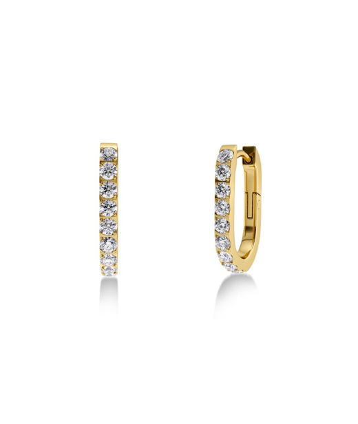 Stålörhänge Inez Hoops Gold S