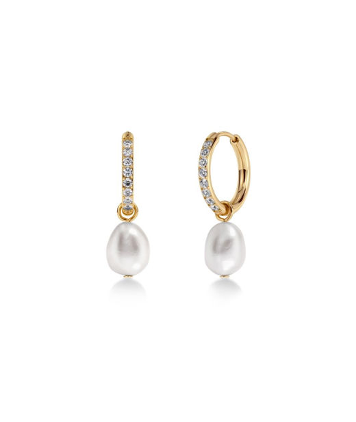 Stålörhänge Perla Hoops Sparkle Gold