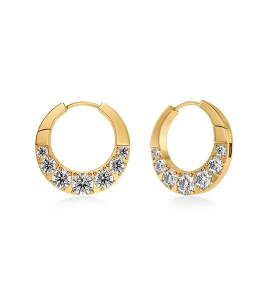 Stålörhängen Monarch Hoops L Gold SP26