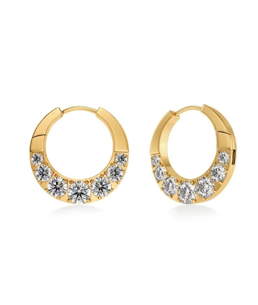 Stålörhängen Monarch Hoops L Gold SP26