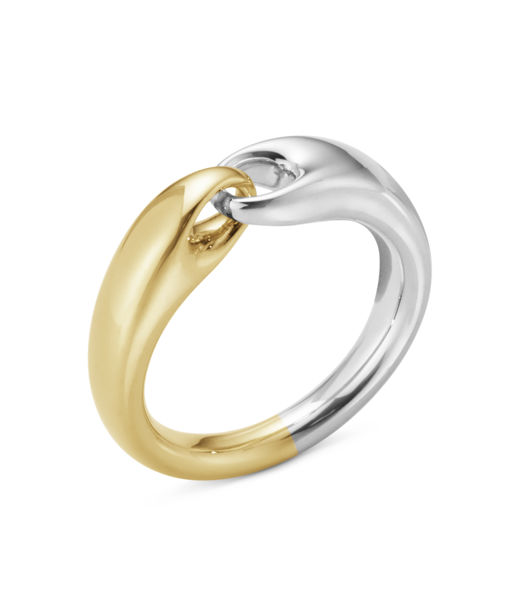Silverring Reflect Small +18k gg SIZE 55