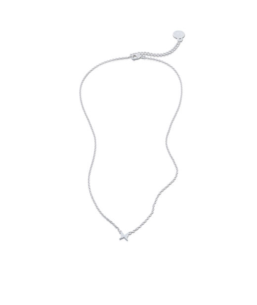 Silverhalsband Petite Papillion 42-45cm