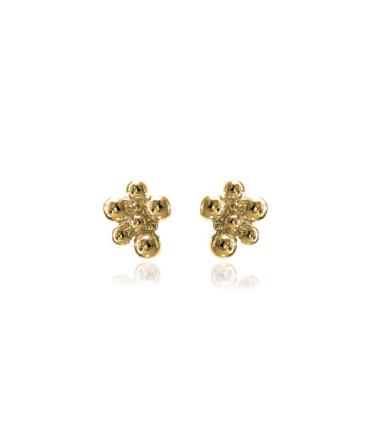 Mässingörhänge Berry Stud gold