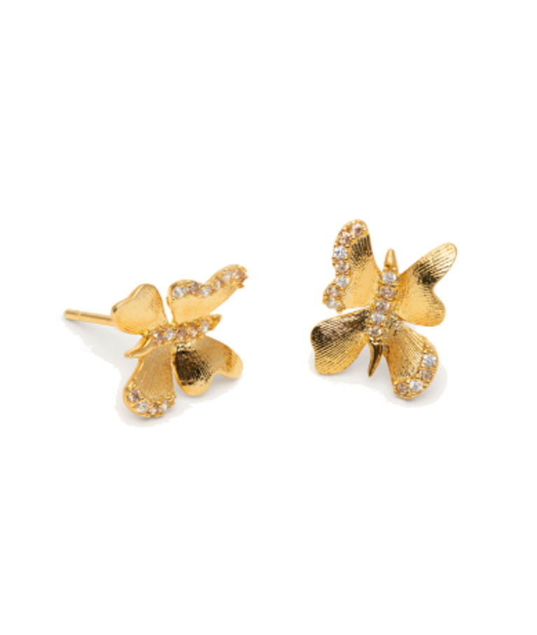 Mässingörhänge Brigitte - Champagne mist gold