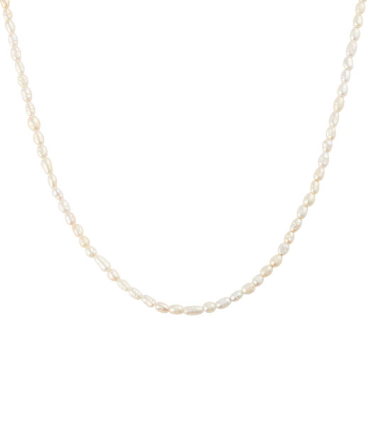 Stålhalsband Pearl 45cm gold