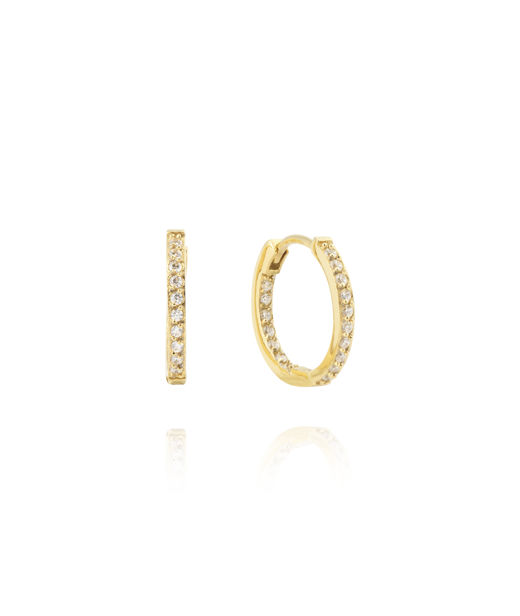 Stålörhänge Sparkle Medium Hoops